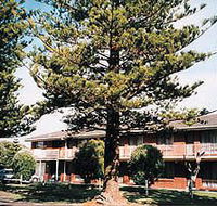 Eastern Beach Holiday Units - Accommodation Tasmania