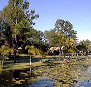 Twin Lakes Hotel - Accommodation Tasmania