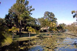 Twin Lakes Hotel - Accommodation Tasmania 0