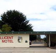 Millicent Motel - Accommodation Tasmania