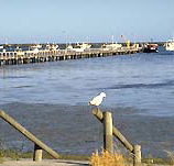 Seaview Motel and Holiday Units - Accommodation Tasmania