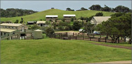 Cape Schanck VIC Accommodation Tasmania