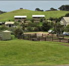 Ace Hi Riding Ranch - Accommodation Tasmania