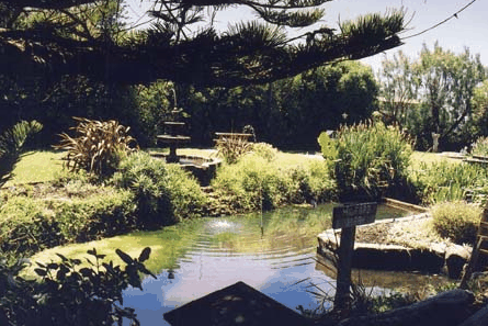 Bayside Gardens - Accommodation Tasmania