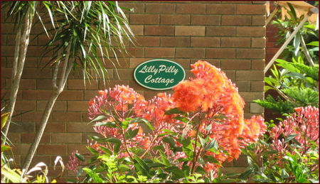 Lillypilly - Accommodation Tasmania 0