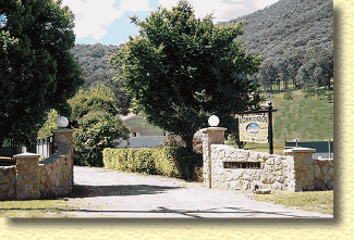 Willow Dene - Accommodation Tasmania 1