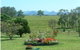 Tallowood Ridge Farmstay B - thumb 3