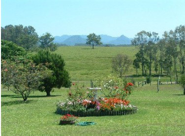 Tallowood Ridge Farmstay B - Accommodation Tasmania 3