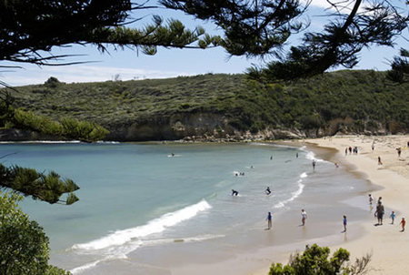 Southern Ocean Motor Inn Port Campbell - Accommodation Tasmania 3