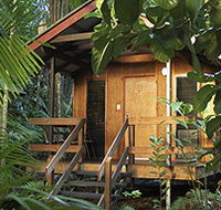 Cape Trib Beach House - Accommodation Tasmania