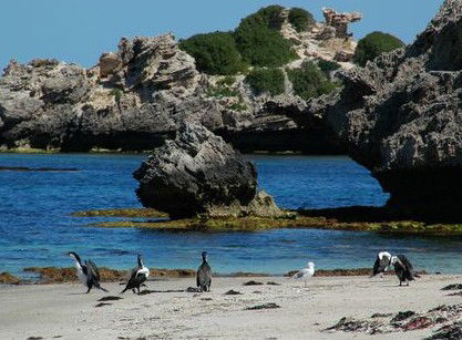 Beachside Apartment Hotel - Accommodation Tasmania 2