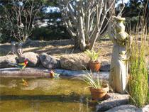 Murray Gardens Motel And Cottages - Accommodation Tasmania 2