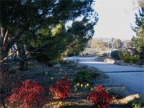 Murray Gardens Motel And Cottages - Accommodation Tasmania 3