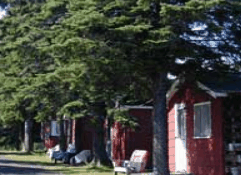 The Pines Resort - Accommodation Tasmania 3