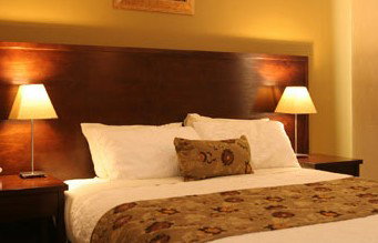 Whale Motor Inn - Accommodation Tasmania 1