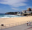 Biltmore On Bondi Backpackers - Accommodation Tasmania