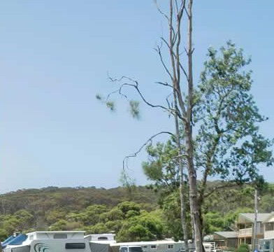 Merry Beach Caravan Park - Accommodation Tasmania 2