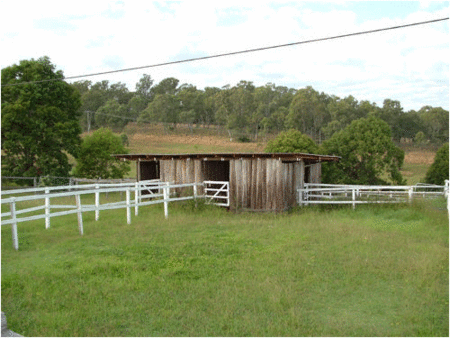 Jacaranda Motor Lodge - Accommodation Tasmania 1