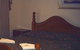 Sanctuary House Resort Motel - thumb 2