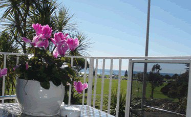 Beach Park Motor Inn - Accommodation Tasmania 3