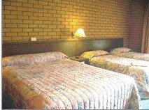 Bega Village Motor Inn - Accommodation Tasmania 3