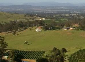 Bimbadeen Estate - Accommodation Tasmania 1