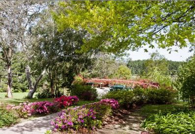 Bilpin Resort - Accommodation Tasmania 2
