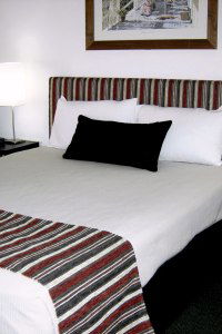 Cattle City Motor Inn - Accommodation Tasmania 1