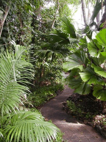 Rainforest Grove Holiday Resort - Accommodation Tasmania 1