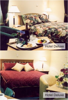 Accommodation Tasmania