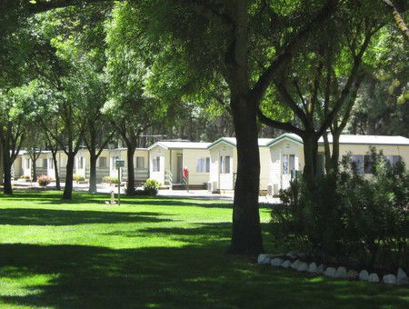 BIG 4 Barossa Tourist Park - Accommodation Tasmania 0
