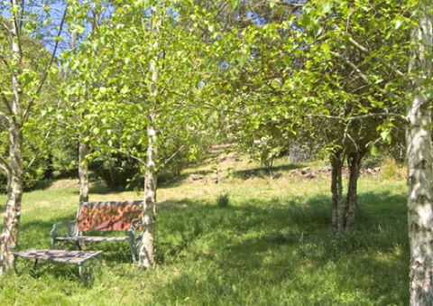 Tomah Mountain Lodge - Accommodation Tasmania 2