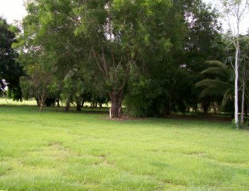 Daly River Mango Farm - Accommodation Tasmania 1