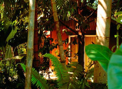 Rum Jungle Bungalows - Accommodation Tasmania 5