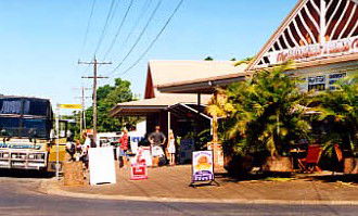 Mission Beach Rainforest Motel - Accommodation Tasmania 0