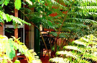 Mission Beach Rainforest Motel - Accommodation Tasmania 3