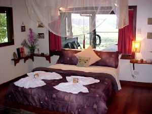 Daintree Cloud 9 - Accommodation Tasmania 0