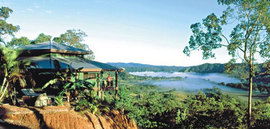 Daintree Cloud 9 - Accommodation Tasmania 1