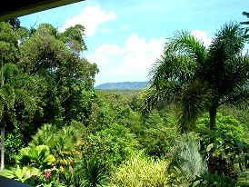 Daintree Manor - Accommodation Tasmania 3