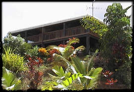 Daintree Manor - Accommodation Tasmania 5