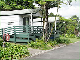 Palmwoods Caravan Park - Accommodation Tasmania 1