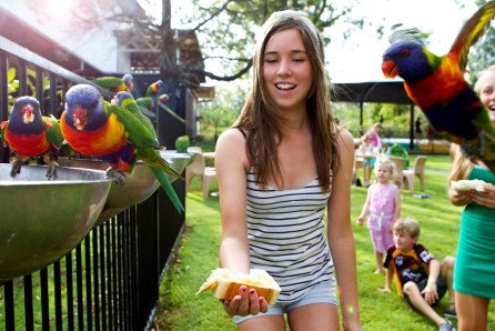 Noosa North Shore Retreat - Accommodation Tasmania 5