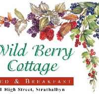 Wild Berry Cottage - Accommodation Tasmania