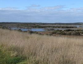 Wulde Waiirri - Accommodation Tasmania 1