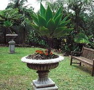 Bangalow Retreat - Accommodation Tasmania