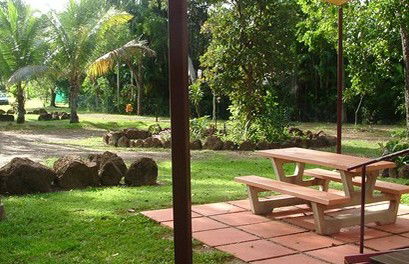 Virginia Heliconia Farm - Accommodation Tasmania 0