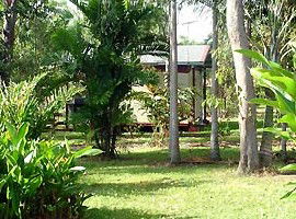 Virginia Heliconia Farm - Accommodation Tasmania 3