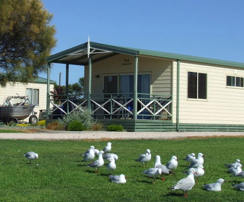 Edithburgh Caravan Park - Accommodation Tasmania 5