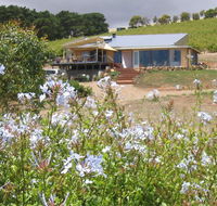 The Blue Grape Vineyard Accommodation - Accommodation Tasmania