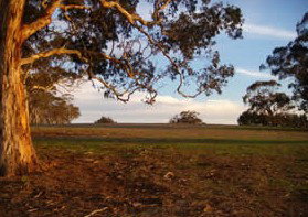 Mirrabooka Bed And Breakfast - Accommodation Tasmania 1